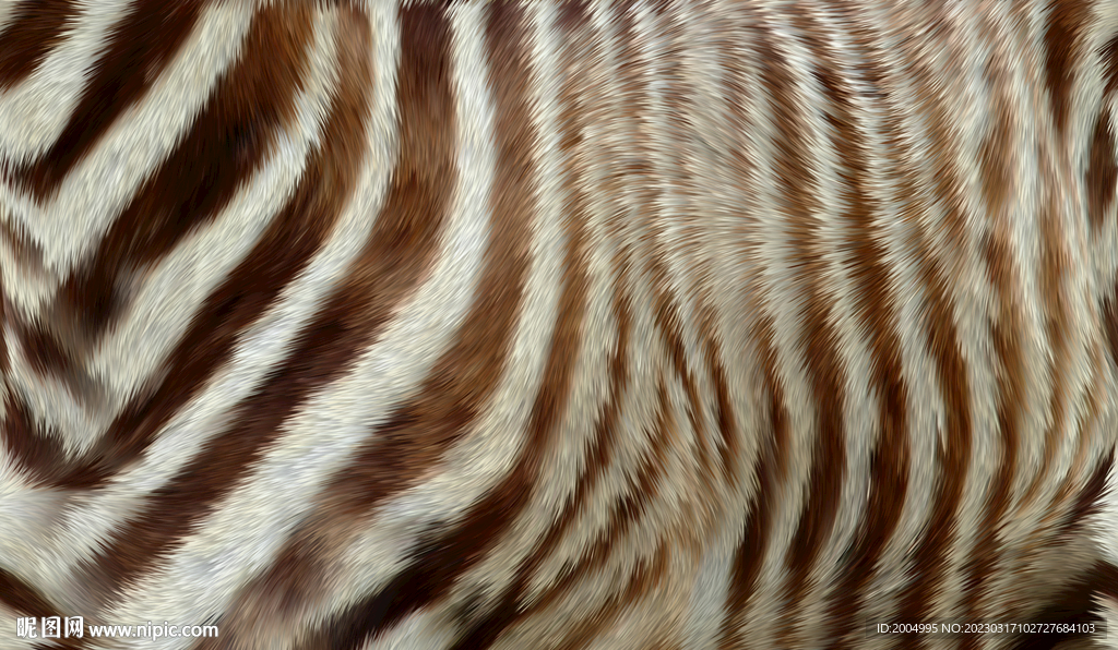 斑马皮毛纹理