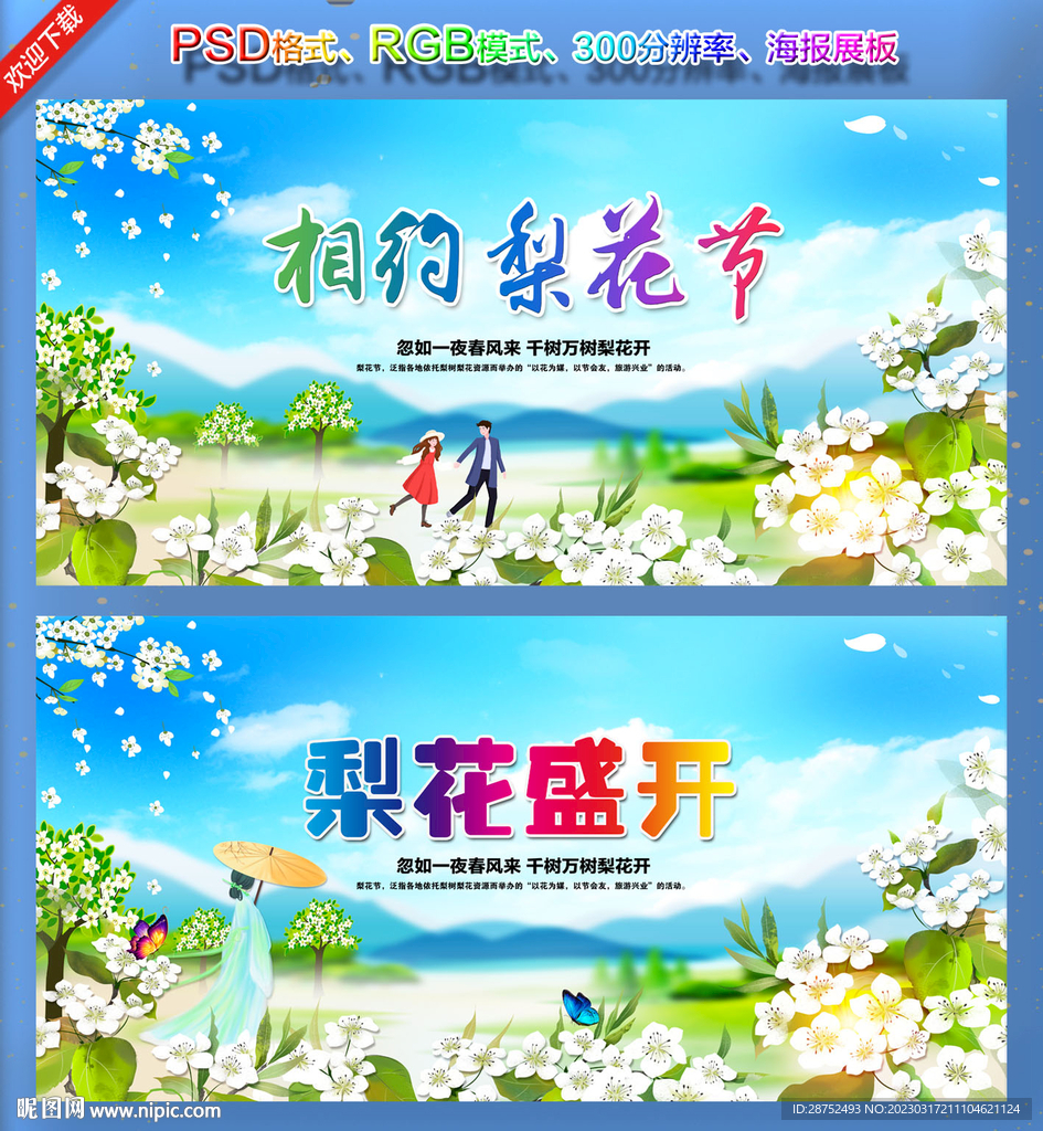 梨花节