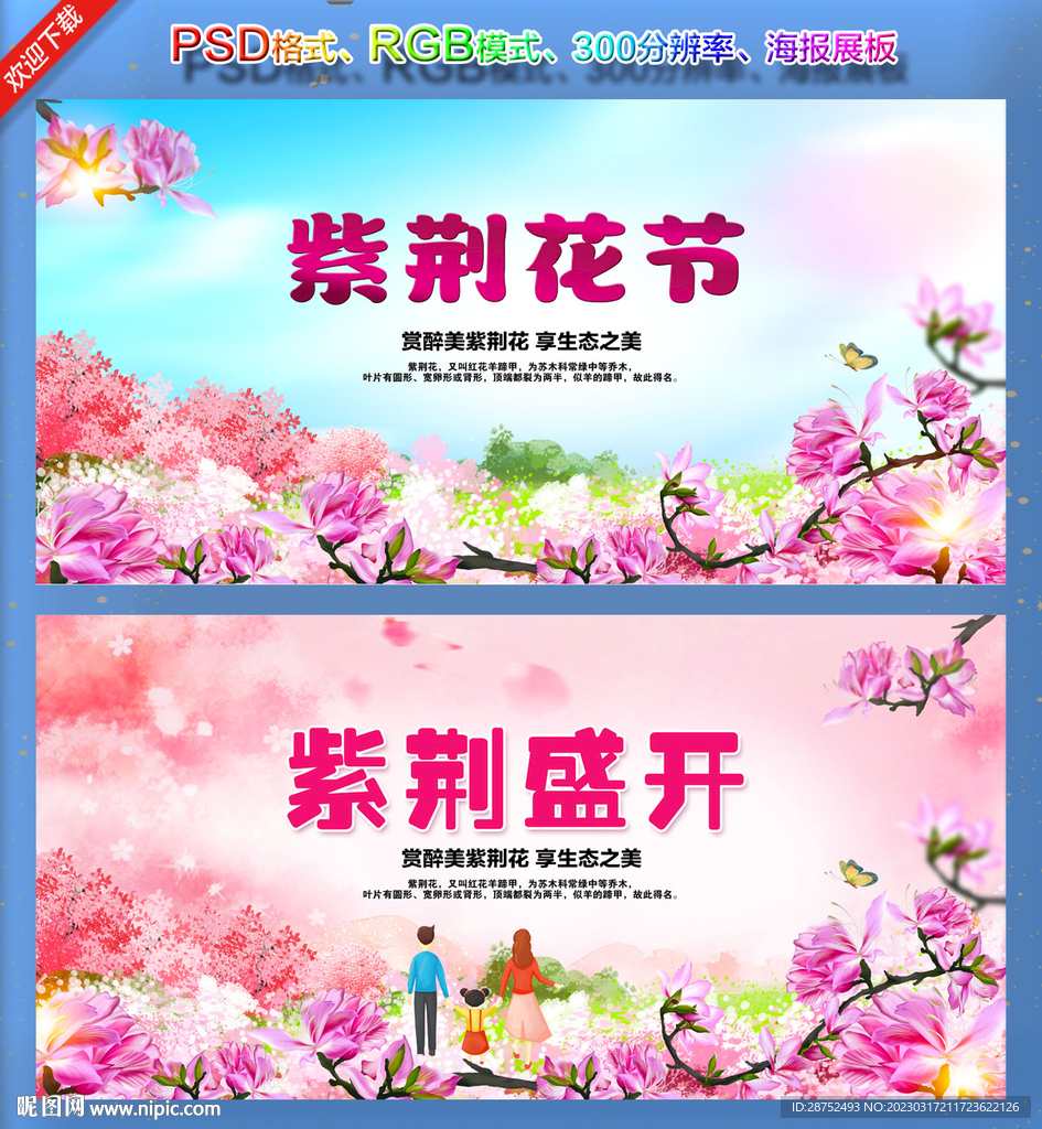 紫荆花节