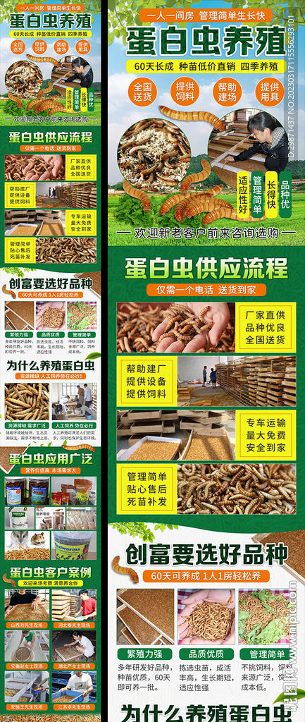 蛋白虫养殖