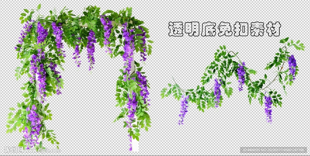 紫藤花