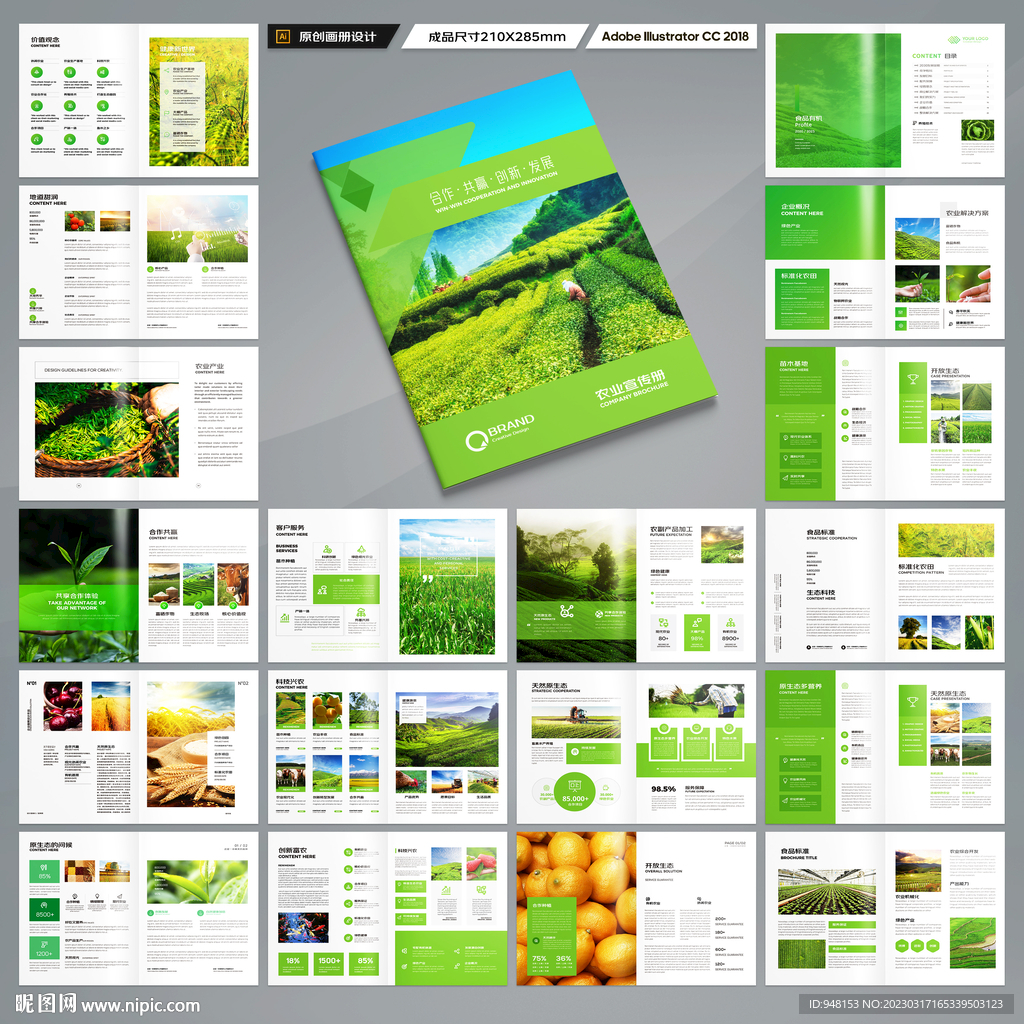 农业合作社画册