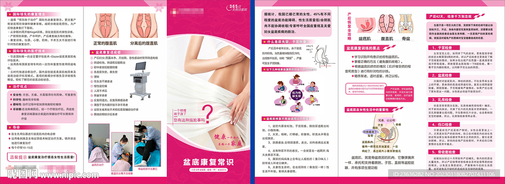 盆底肌修复