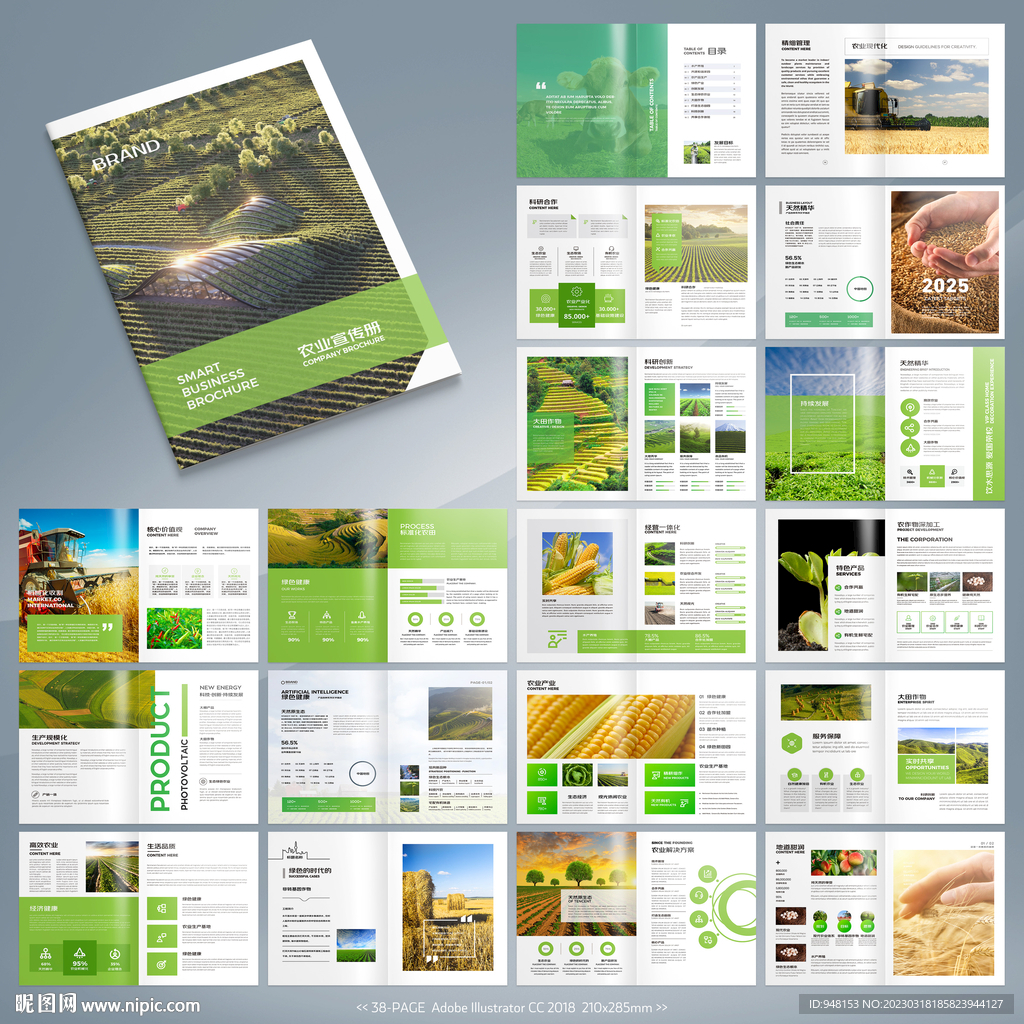 农业画册模板