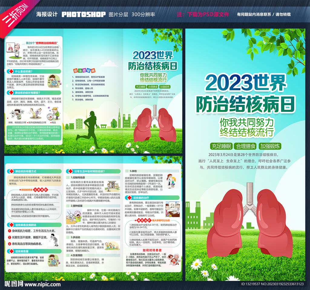 结核病三折页
