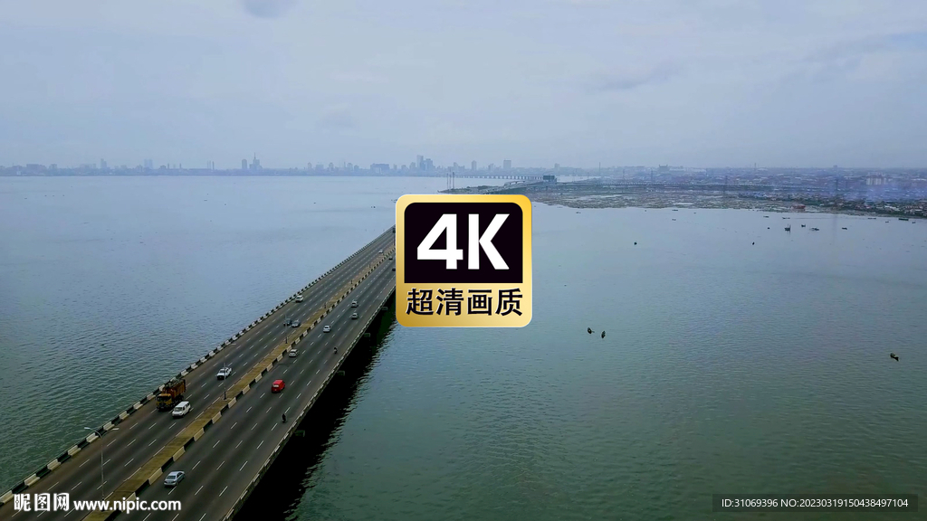 雄伟跨海大桥车流美景