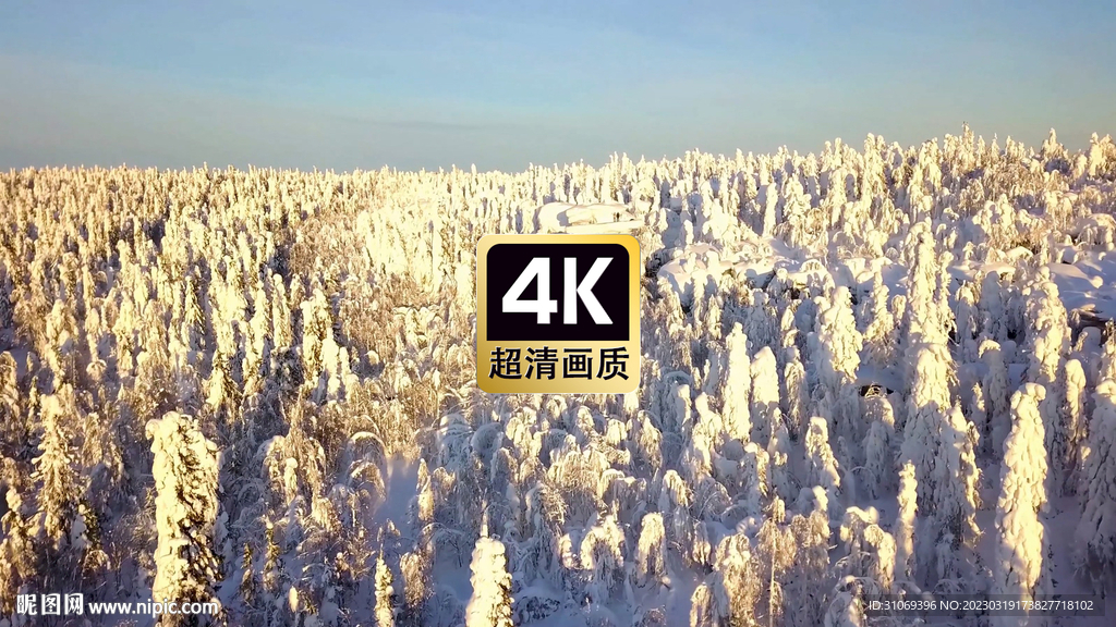 雪原林海美景