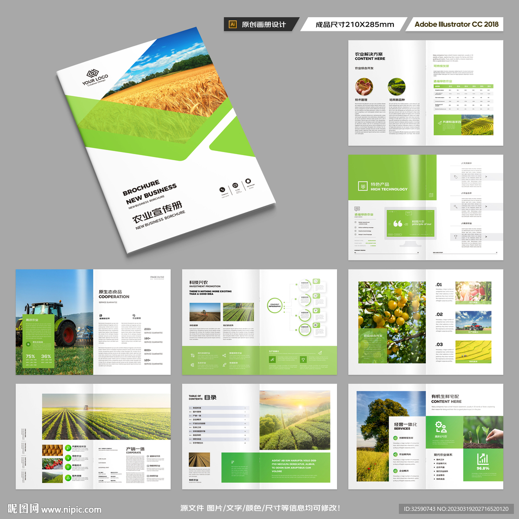 农产品宣传册