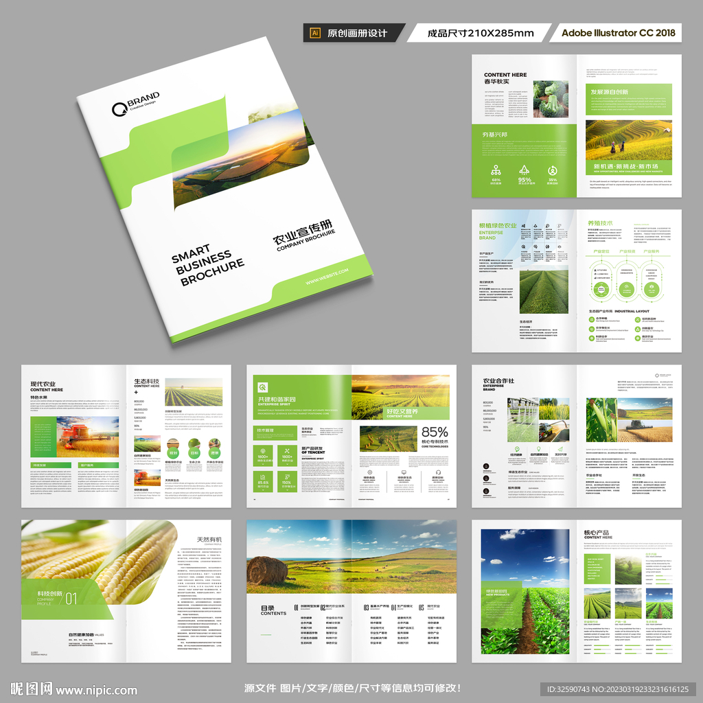 农产品宣传册