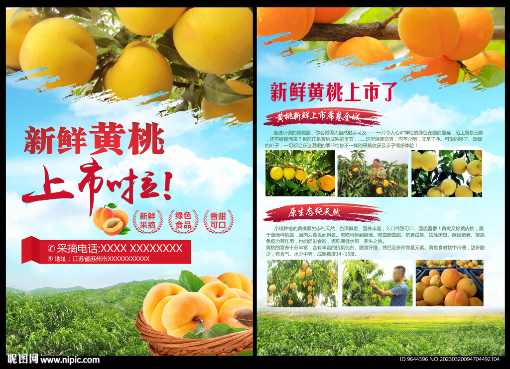 黄桃
