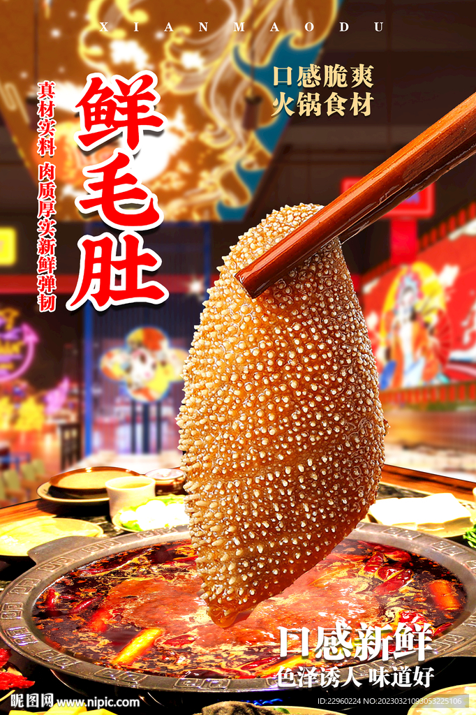 鲜毛肚