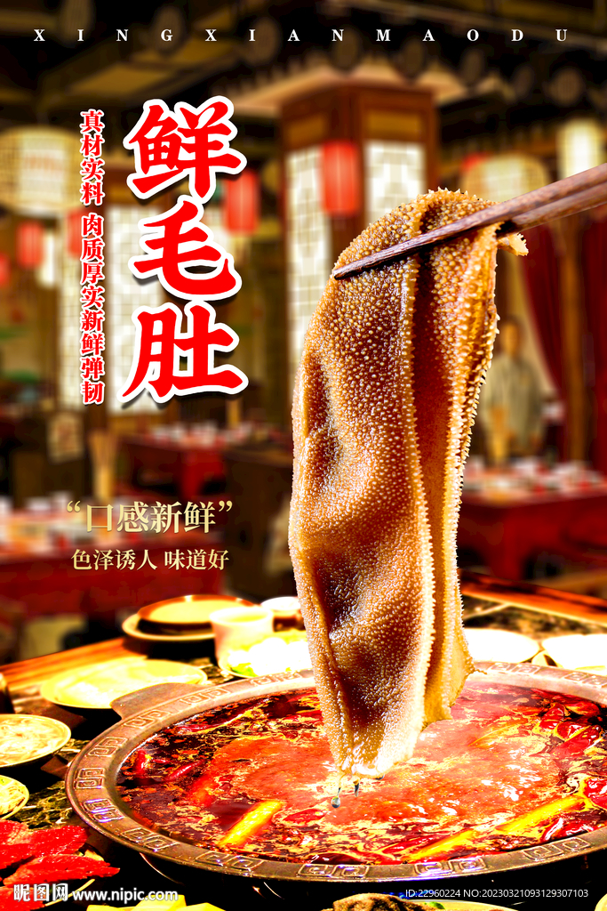 新鲜毛肚海报