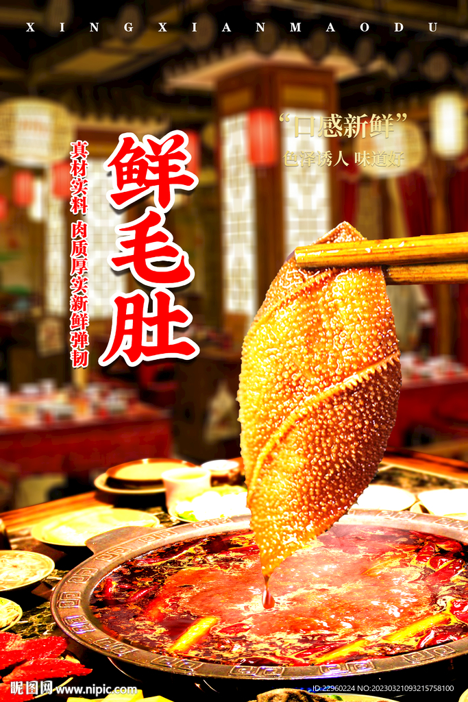 新鲜毛肚海报