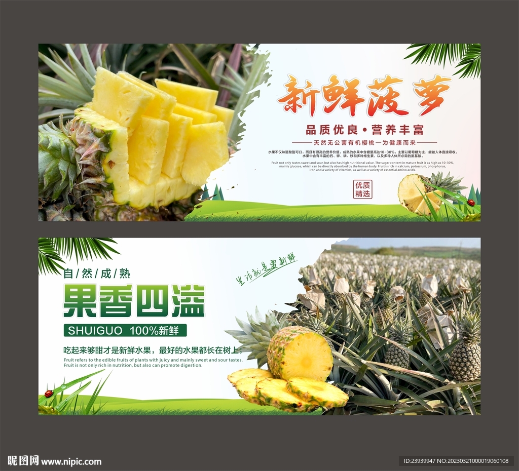 菠萝