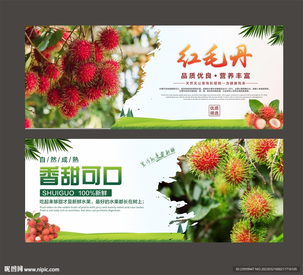 红毛丹