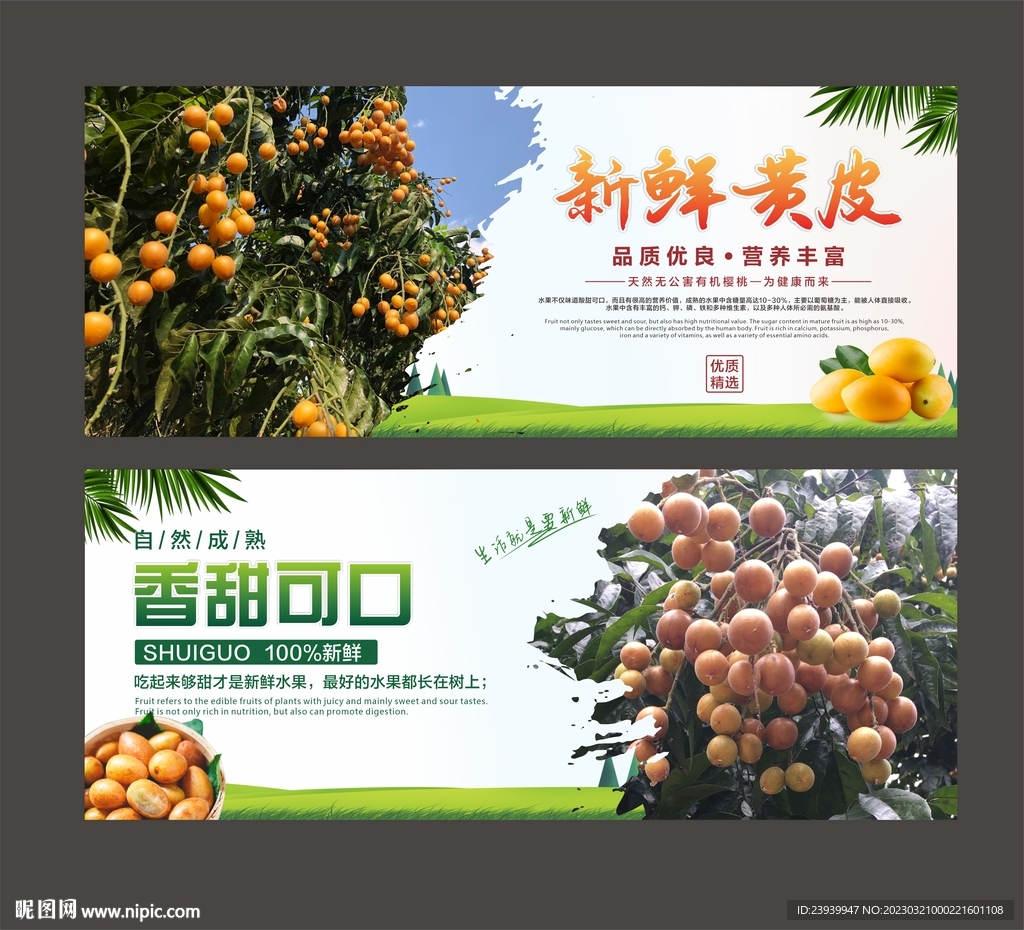 黄皮