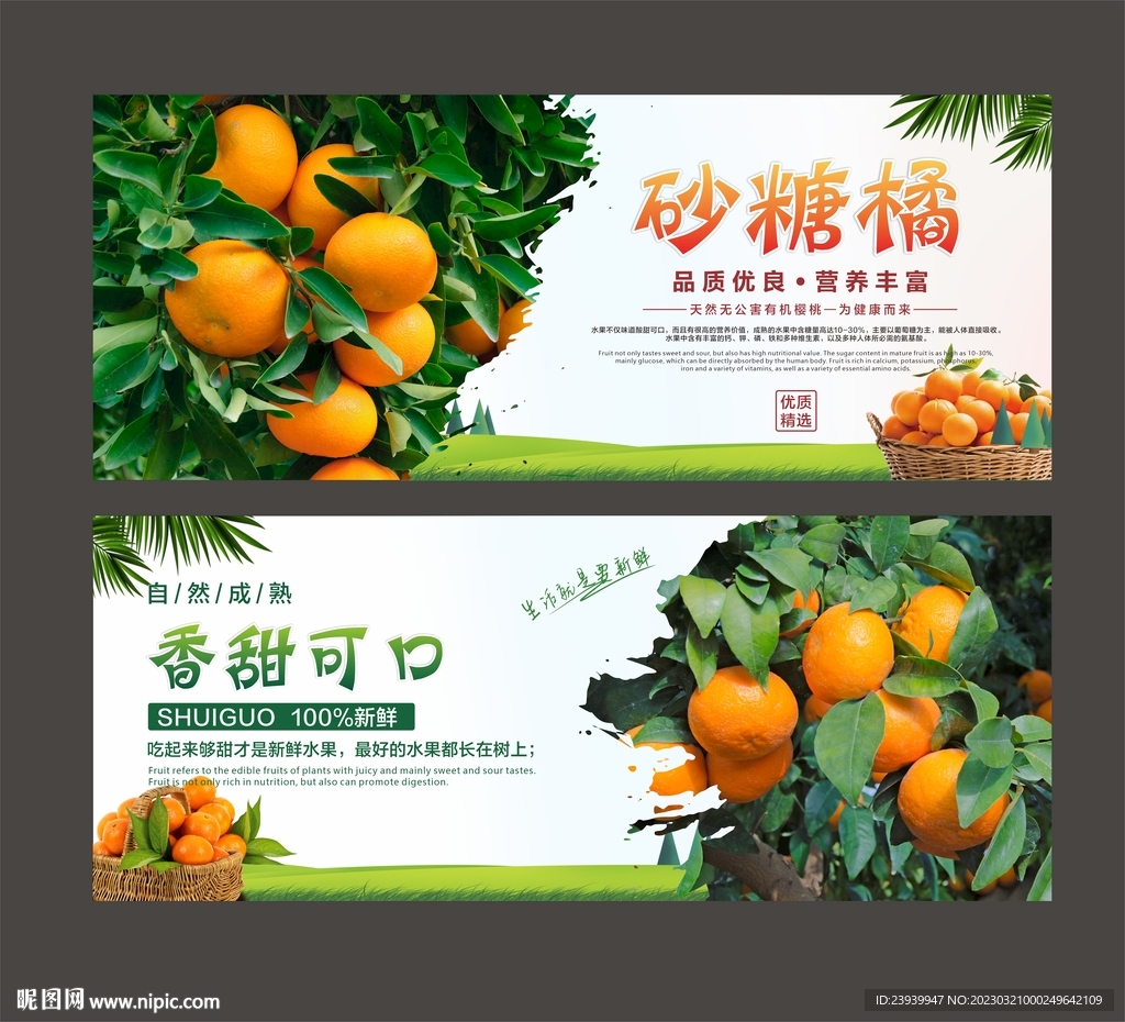 砂糖橘