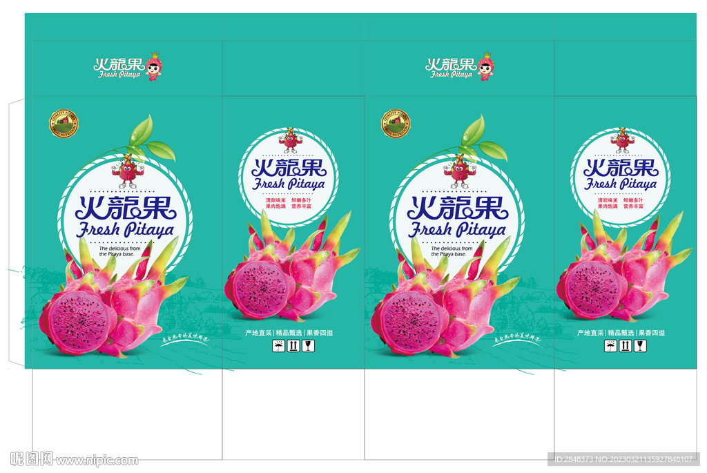 红心火龙果包装平面图