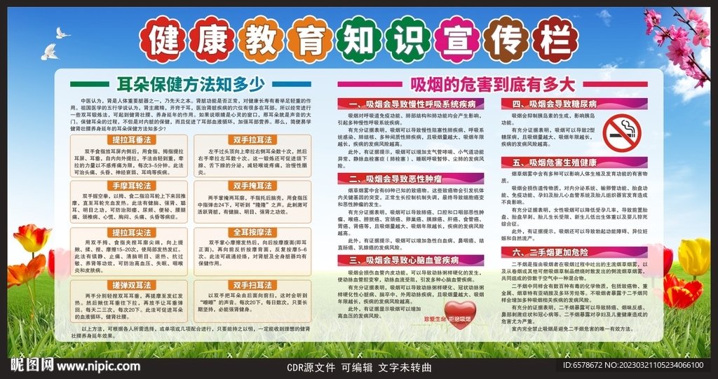 健康教育宣传栏