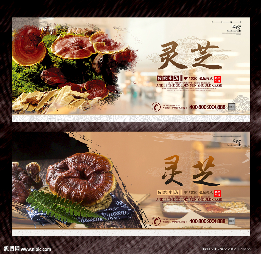 灵芝