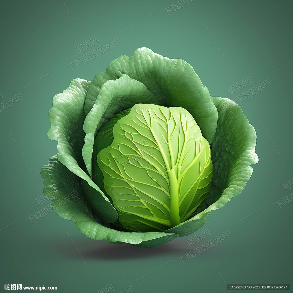 卡通卷心菜