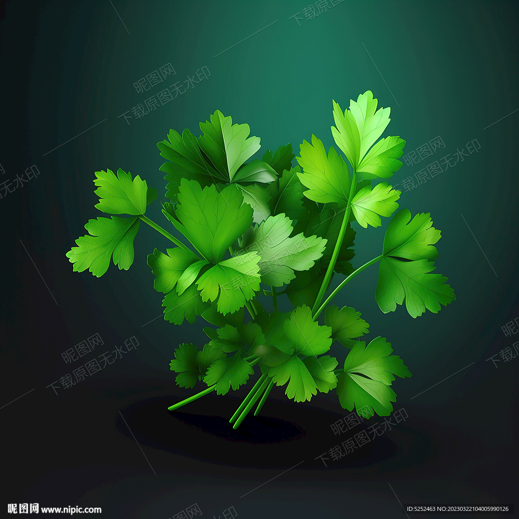 卡通香菜叶