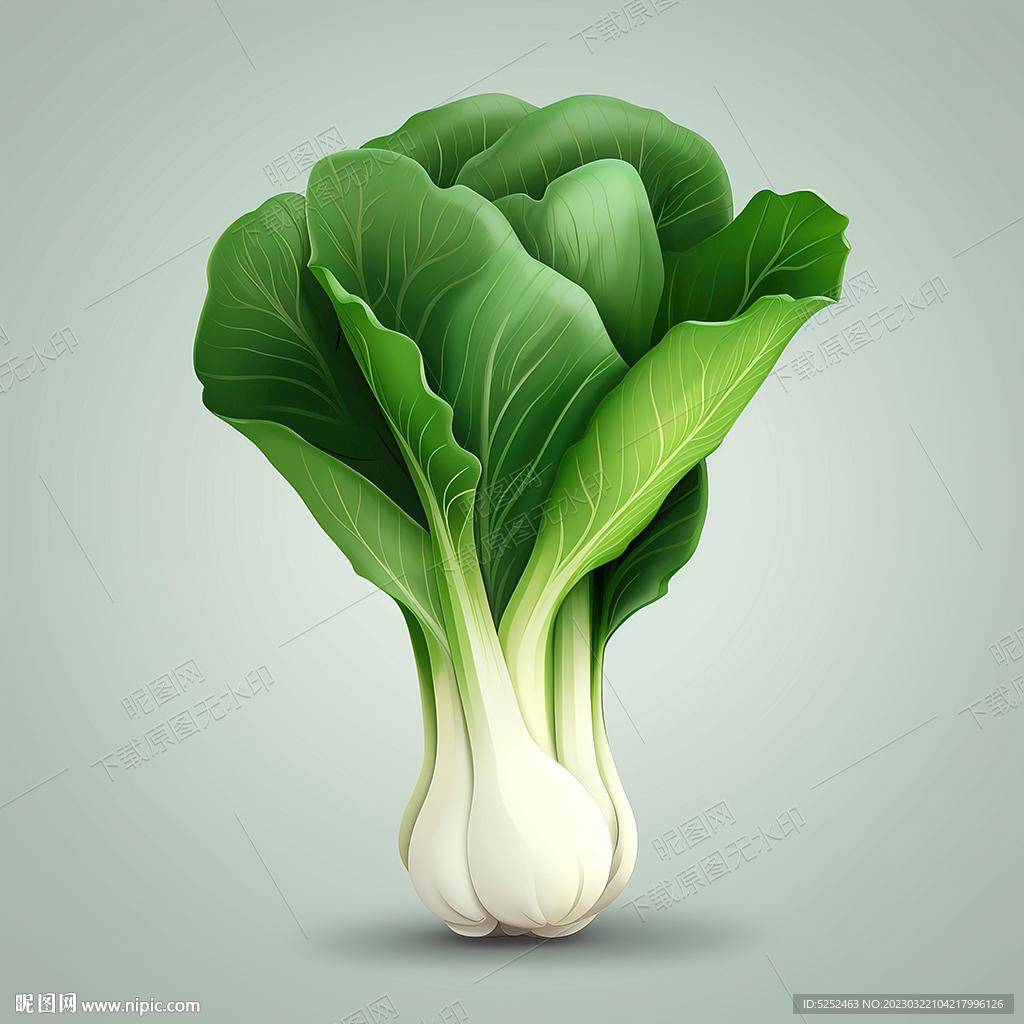 卡通油菜