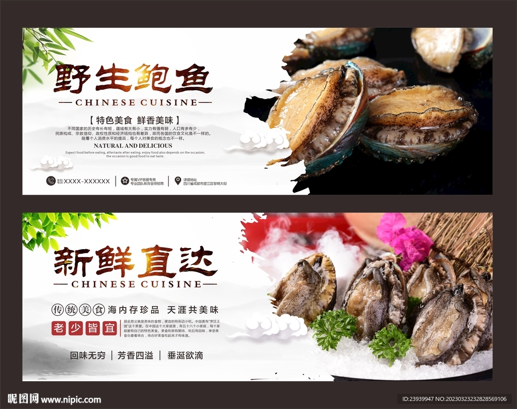 鲍鱼