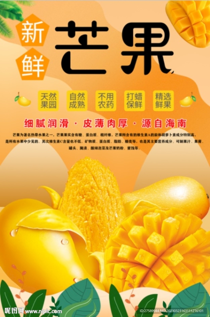 芒果海报