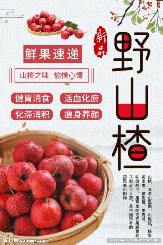 山楂海报