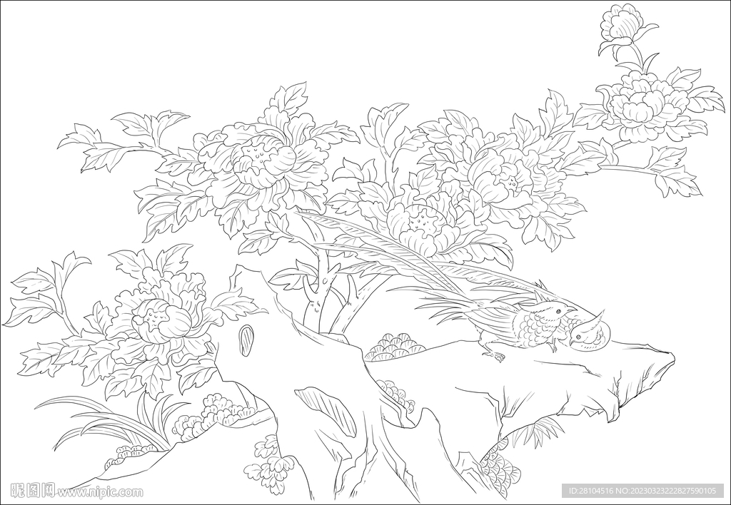 牡丹 