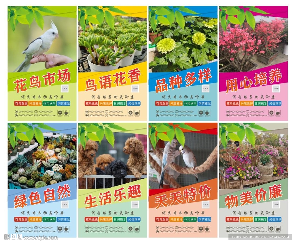 花鸟市场观赏花卉海报