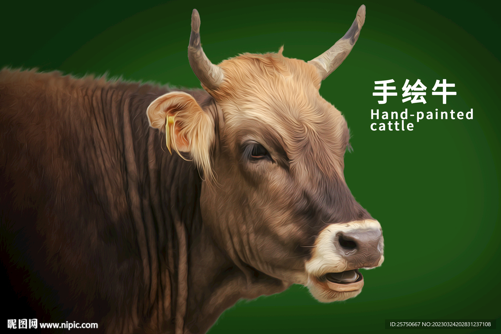 手绘牛
