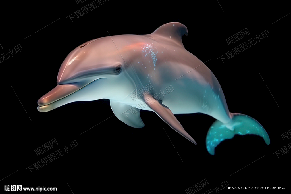 海底海豚