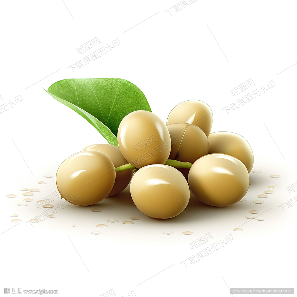 高清黄豆