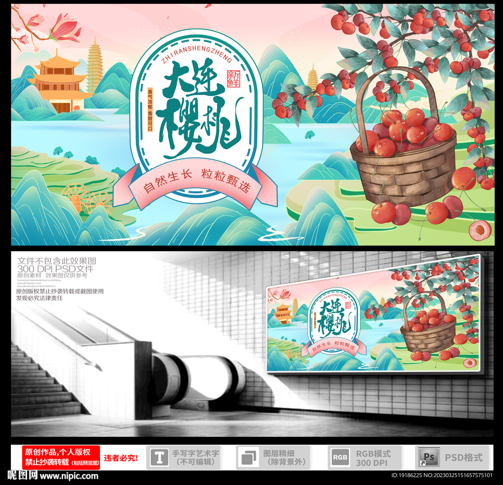 樱桃