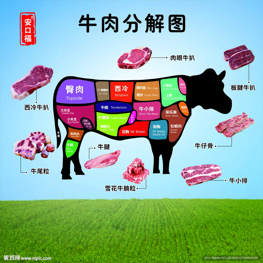 牛肉分解图