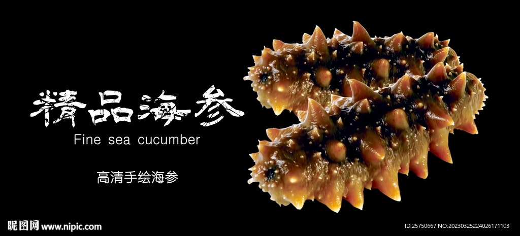海参