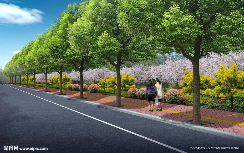 道路绿化效果图