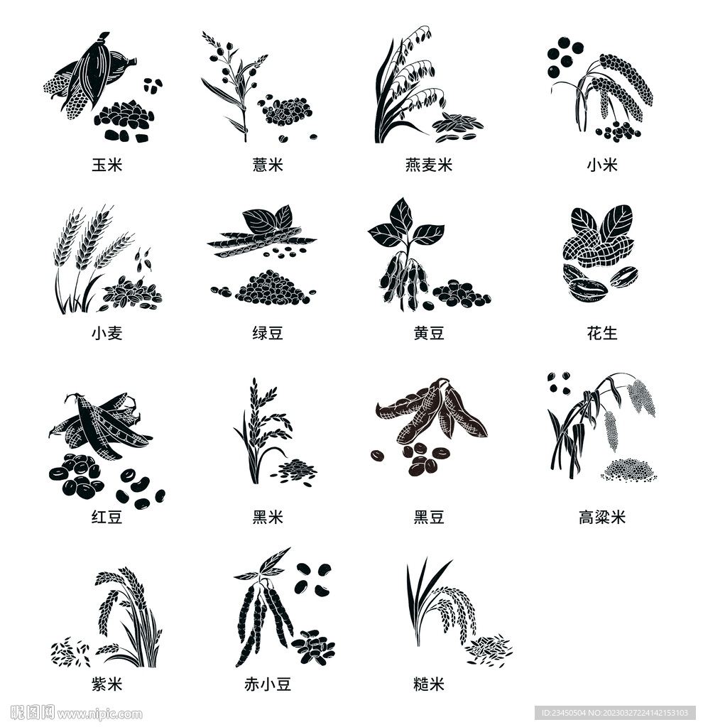 五谷杂粮黑白插画
