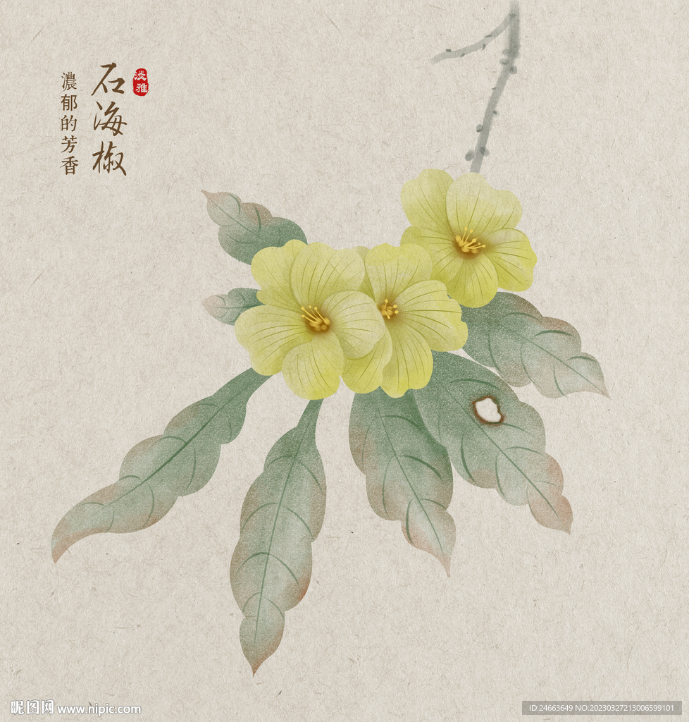 石海椒
