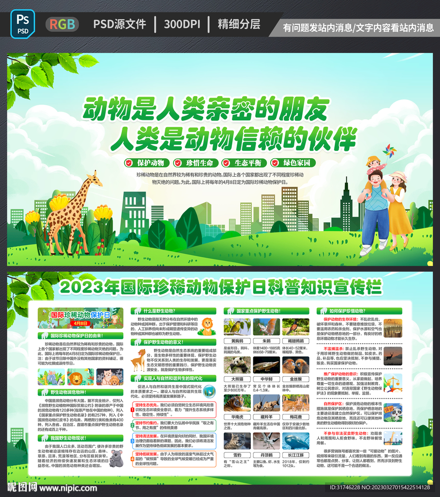 保护动物