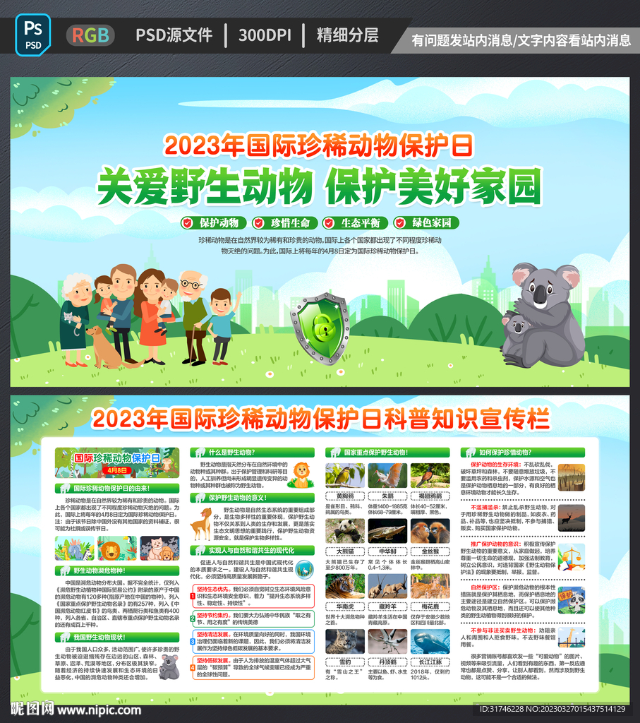 珍稀动物保护日