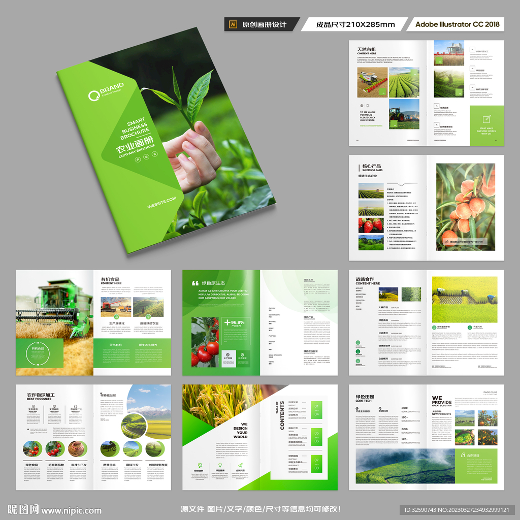农产品宣传册