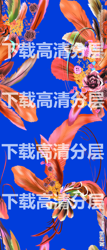 羽毛花卉