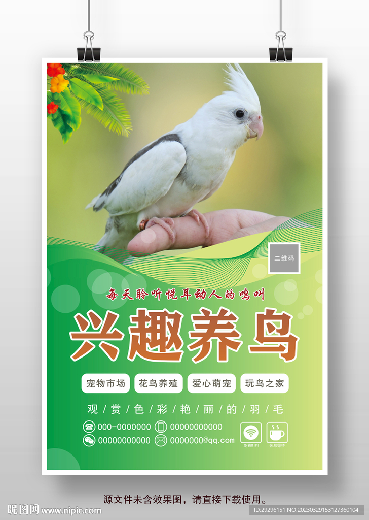 宠物花鸟市场挂图