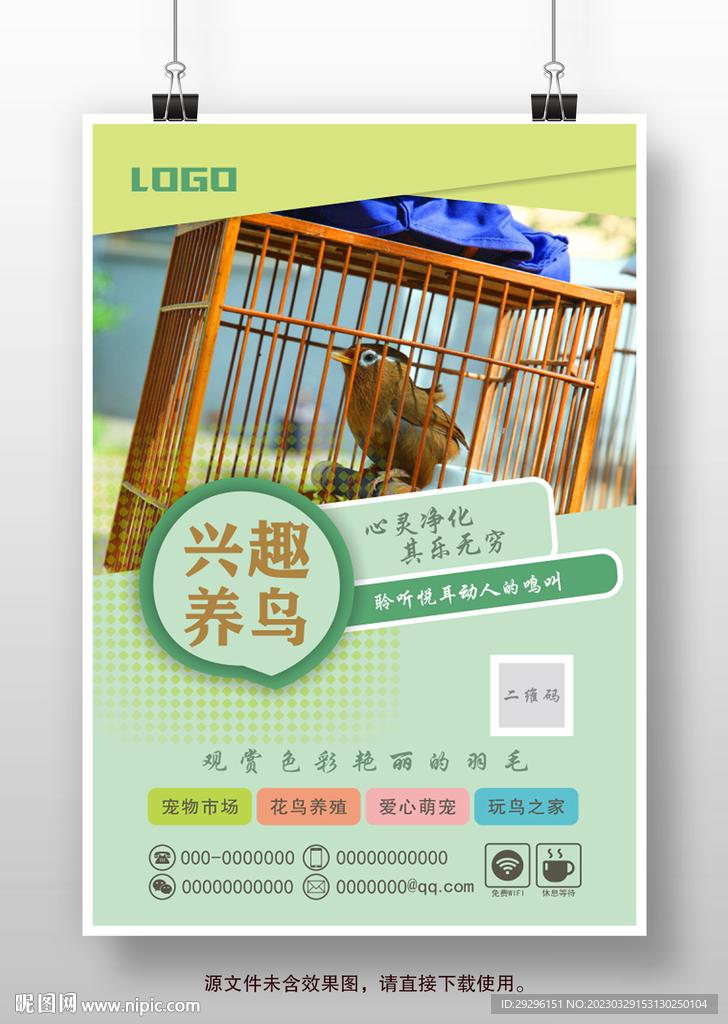 宠物鸟