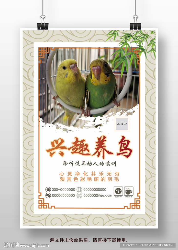 爱宠鹦鹉宣传海报