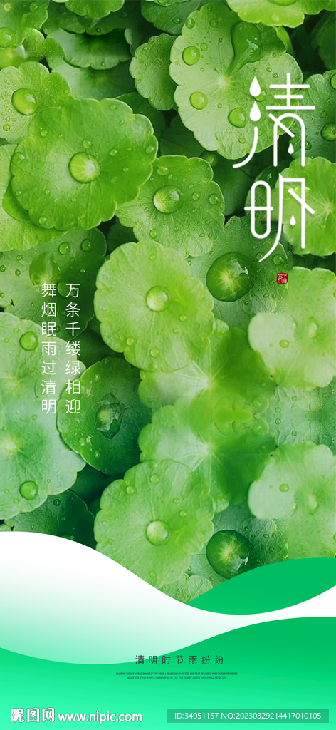 清明节 荷叶