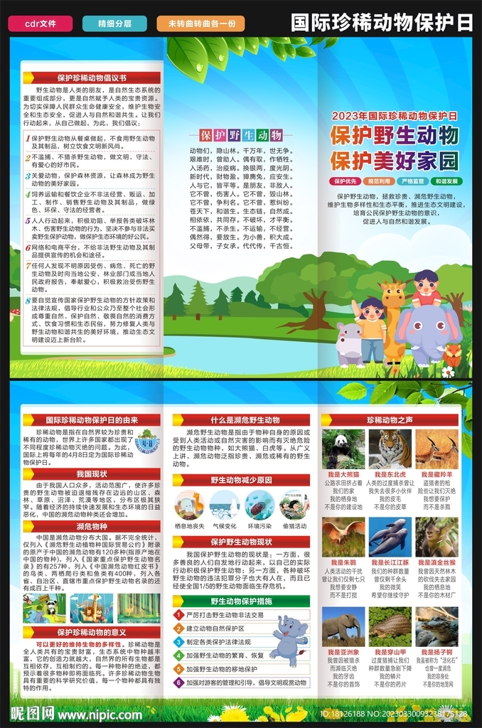 国际珍稀动物保护日